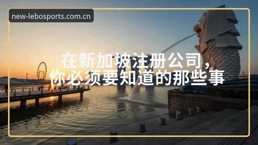 深度揭秘乐宝体育平台：老用户亲述注册入口安卓版的那些事