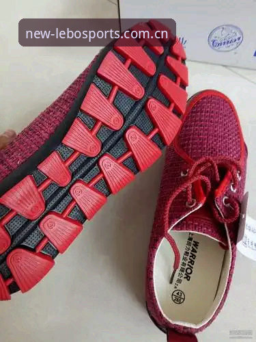 乐宝体育注册入口功能详解 乐宝体育平台注册入口功能详解:新手操作全面评测报告